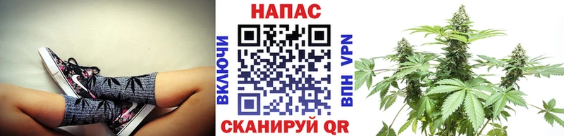 Купить закладки  Крымск  Марихуана SATIVA & INDICA 